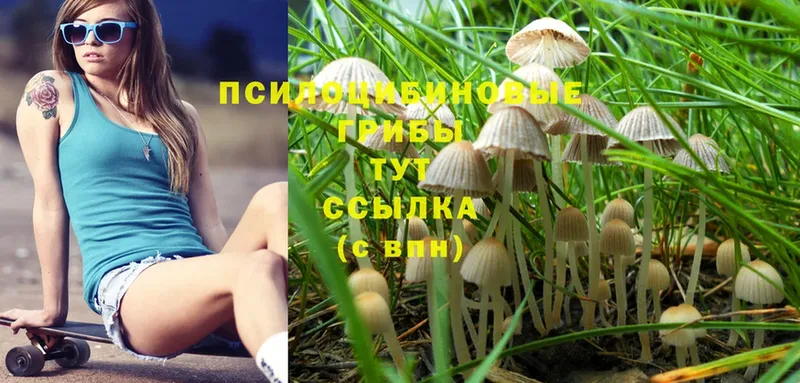 Галлюциногенные грибы Cubensis  сайты даркнета состав  Нягань 